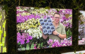 Greenovation Award 2022 gaat naar Hazeu Orchids