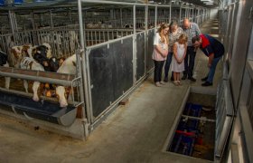 Scheidingssysteem in nieuwe kalverstal vermindert emissie