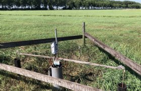 Drie boeren doen mee aan proef om bodemdaling tegen te gaan