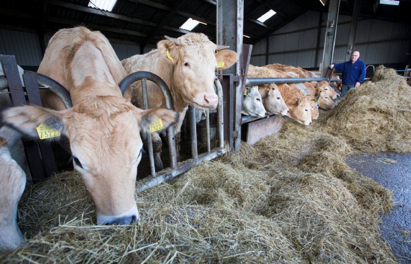 Slimme+boeren+boeren+slimmer