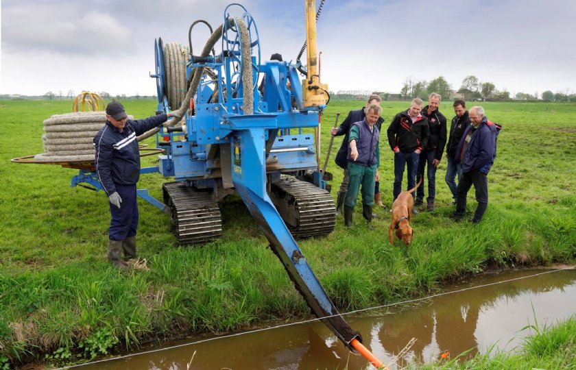 Subsidie+voor+innovatieve+Utrechtse+veenweideboeren