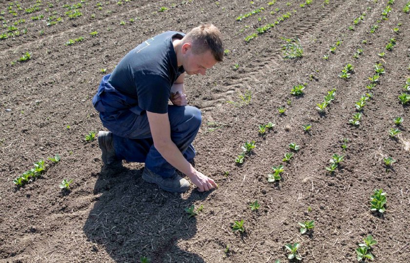 Subsidie+voor+biolandbouw+ondersteunt+onderzoek+naar+robots