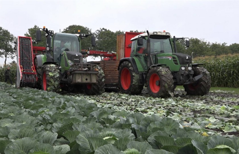 Sensoren+verbeteren+teelt+groente+en+aardappelen