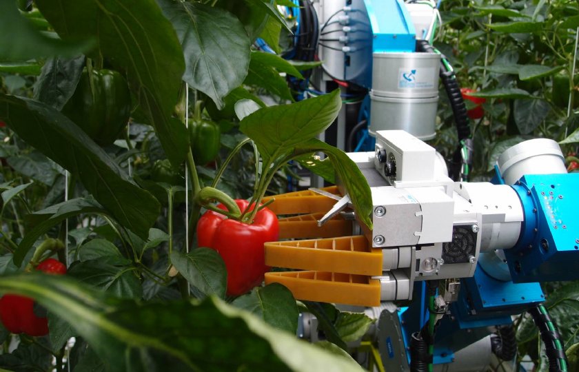 Robots krijgen meer en meer invloed op arbeid in productie, logistiek, hrm en teelttechniek.