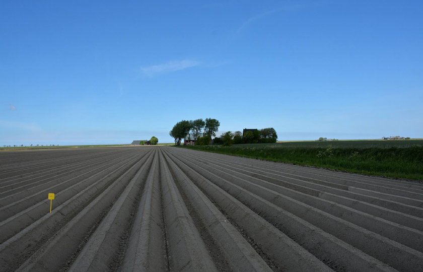 Project+zoekt+noordelijke+boeren+die+verzilting+willen+meten