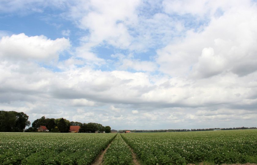 Gezondgewastool+helpt+akkerbouwers+met+bodemmaatregelen