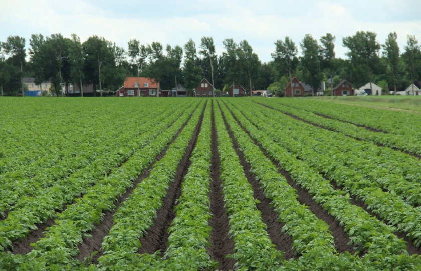 Meer+inzicht+met+nieuwe+app+voor+smartfarming