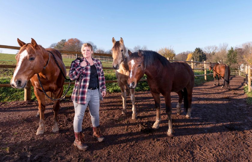 Automatisering+benadert+natuurlijke+behoeftes+paarden