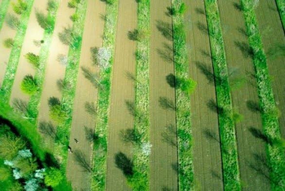 Zonnepanelen+als+windscherm