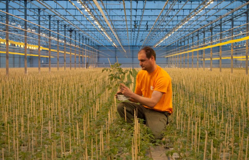 Drone+helpt+bij+opkweken+groenteplanten