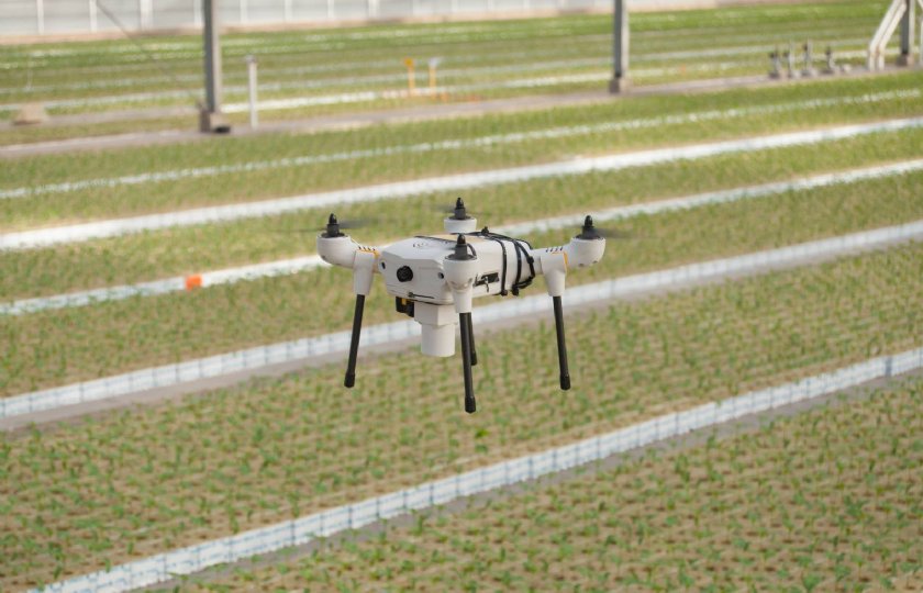 Na veel testen vliegt de drone zelfstandig door de kas.