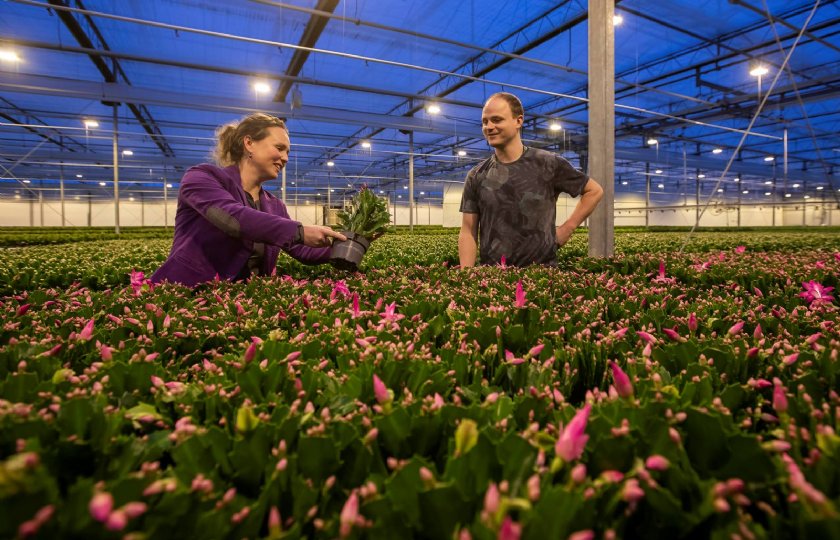 Robots+helpen+Hofland+Flowering+Plants+eind+op+weg