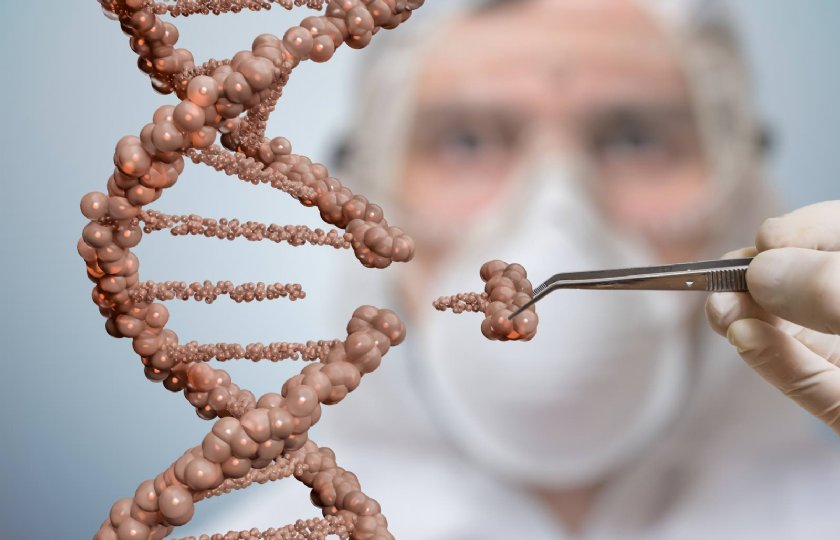 Crispr%2DCas+bij+dieren+veelbelovend+maar+tijdrovend