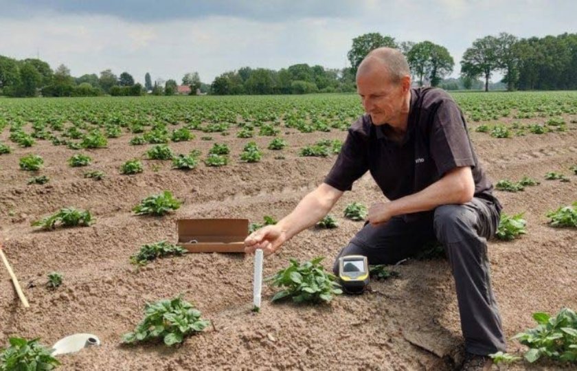 Vijfhonderd+sensoren+in+Belgische+aardappelvelden