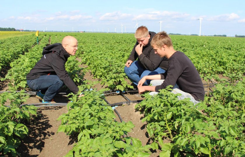 Aeres+Hogeschool+test+fertigatie+in+aardappelen