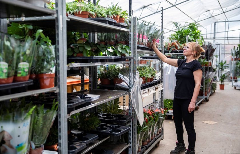 Europees+onderzoek+naar+herbruikbare+plantentray+bijna+klaar