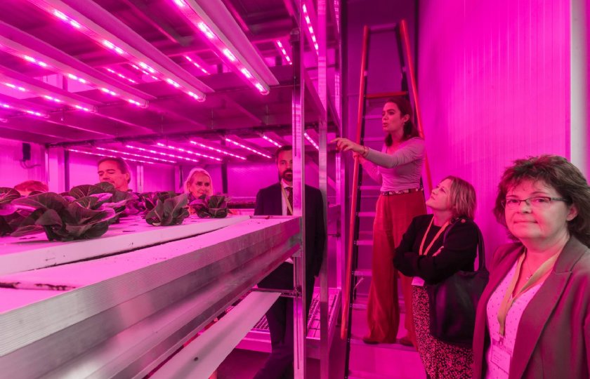 Opschalen+van+vertical+farming+is+nog+lastig