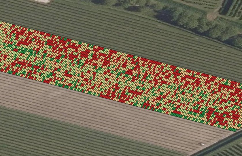 Zeeuwse+fruitteler+bespaart+kosten+met+precisietechnieken