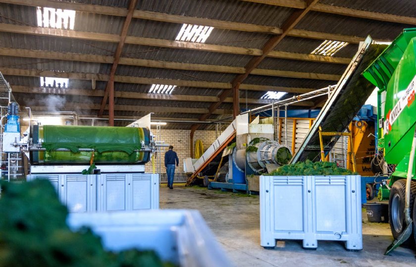 In de proeffabriek in Afferden wordt vers gras verwerkt tot hoogwaardige producten.