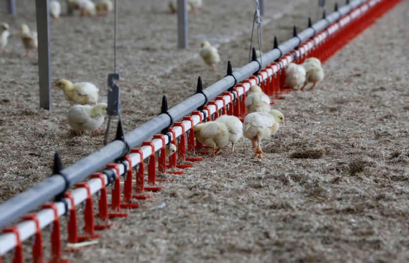 De data van drinkwater, voer, weging en klimaat komen in Farmer System.