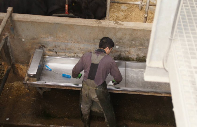 Dagelijkse reiniging van de waterbakken.
