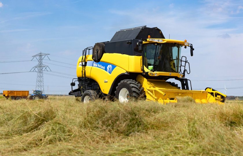 Duurzaamheid+staat+centraal+in+onderzoek+naar+graszaadteelt