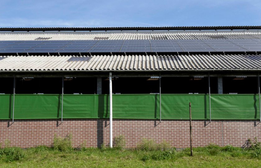 De veehouder kocht 108 tweedehands zonnepanelen met drie omvormers voor 4.000 euro. De stalconstructie haalde hij van Marktplaats.
