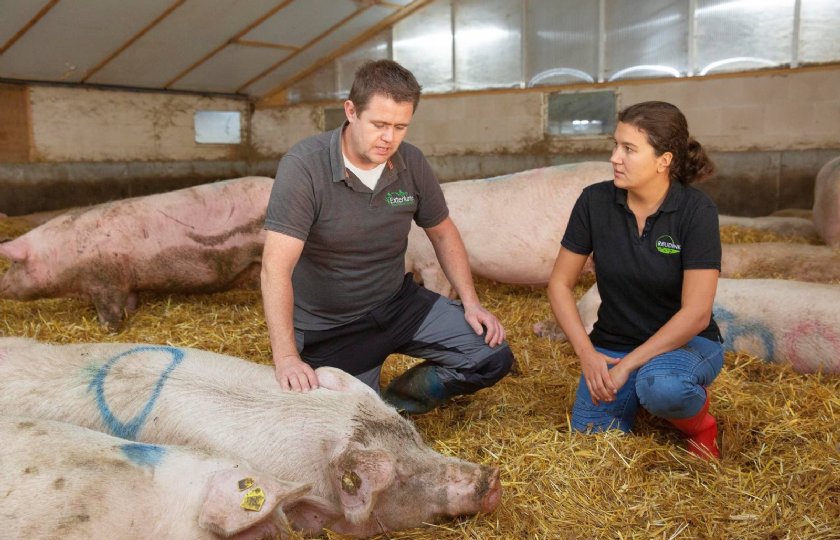 Data+helpen+biologische+varkenshouder+bij+voederproeven