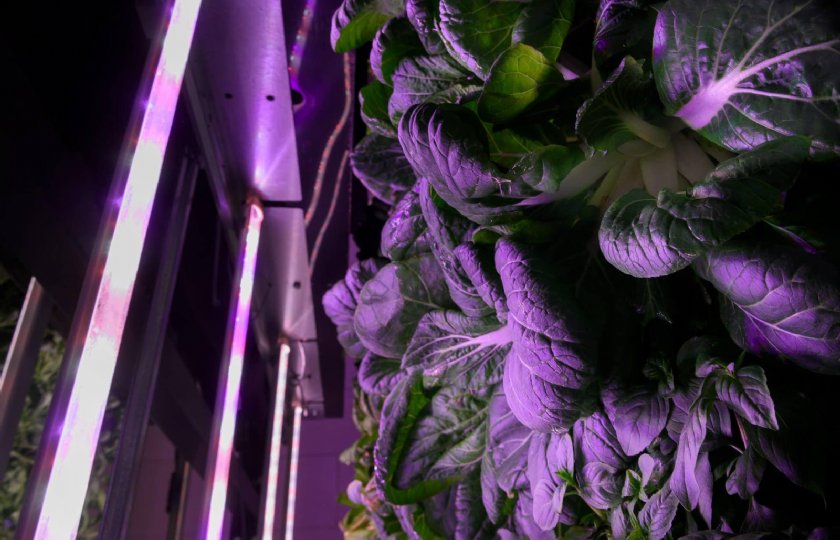 Vertical+farms+sluiten+vanwege+hoge+energiekosten