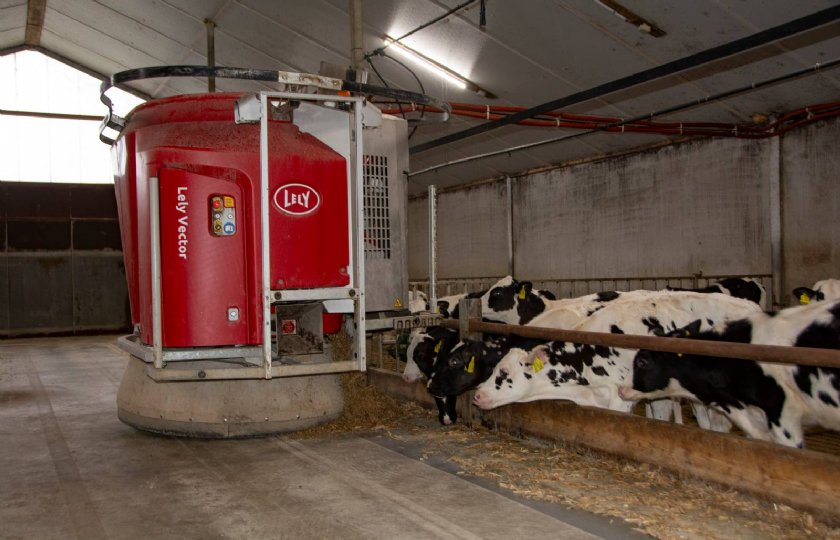 Kalverhouders+enthousiast+over+automatisch+voeren+met+Lely+Vector